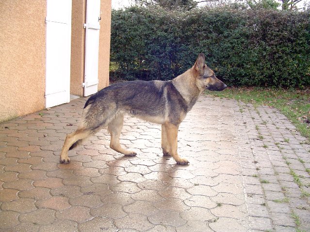 CHADE Du val d'auzon